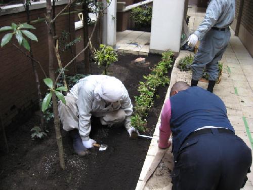 造園・お庭のお手入れ