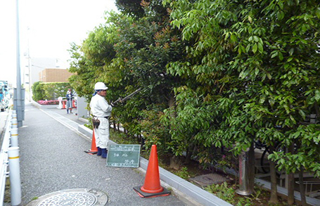 造園・お庭のお手入れ